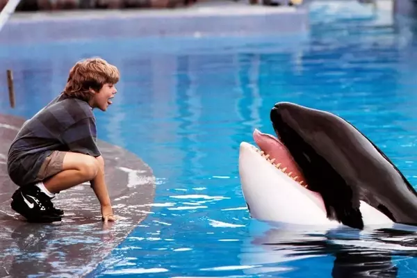 Warner Bros. Developing "Free Willy" Reboot with AGBO Producing