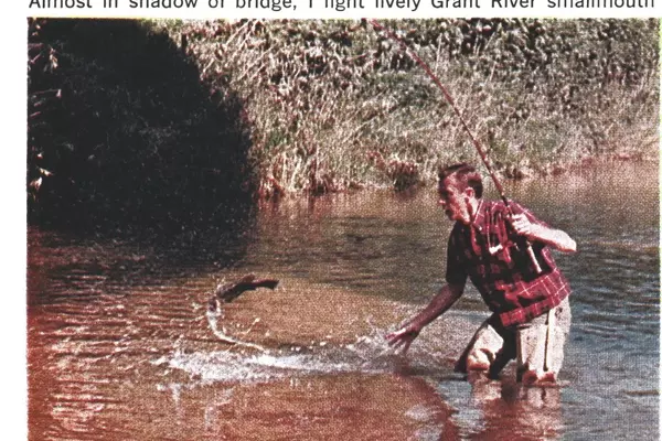 Unlocking Summer Smallmouth Bass Secrets in Wisconsin's Streams