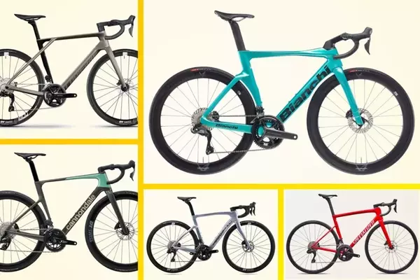 Affordable Pro-Level Road Bikes for Cycling Enthusiasts
