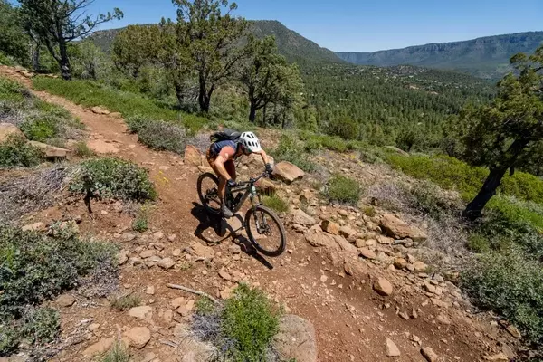 Payson, Arizona: A Three-Day Mountain Biking Expedition