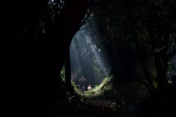 Game Freak's 'Beast of Reincarnation' Preview: A Challenging Yet Intriguing Action RPG