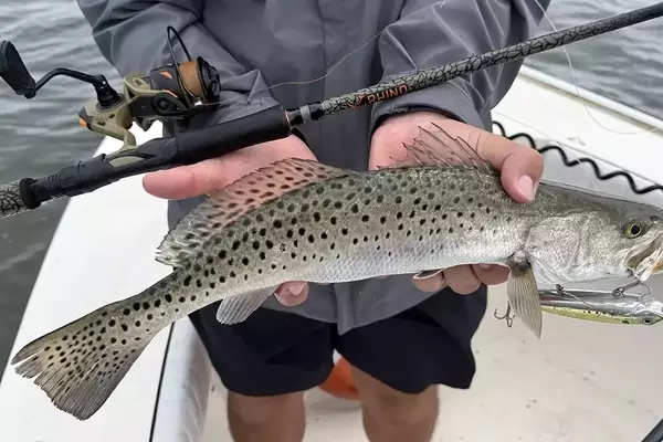 Zebco Rhino: A New Era of Fishing Rod Durability and Performance