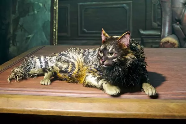Acquiring Companions in Assassin's Creed Black Flag Resynced