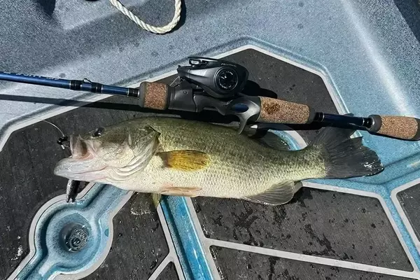 KastKing Kestrel BFS Reel: An Affordable Angler's Advantage