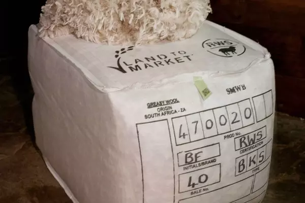 Textile Labels Under Scrutiny: A Call for Transparency in Fashion