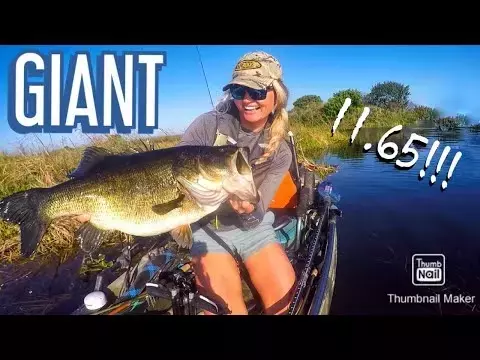 Angler's Journey: From Tournament Setbacks to Record-Breaking Bass Catches