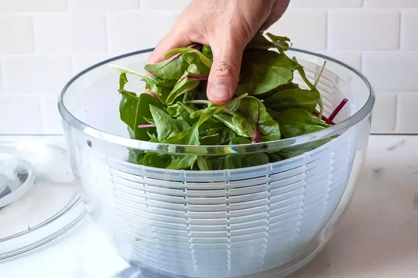 The Ultimate Guide to Salad Spinners: Reviews and Top Picks