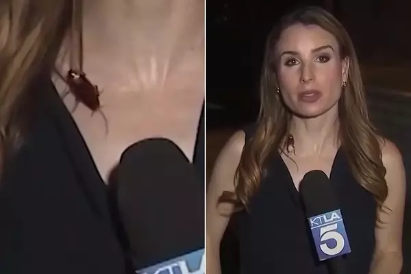 Unflappable Reporter's Cockroach Encounter Goes Viral