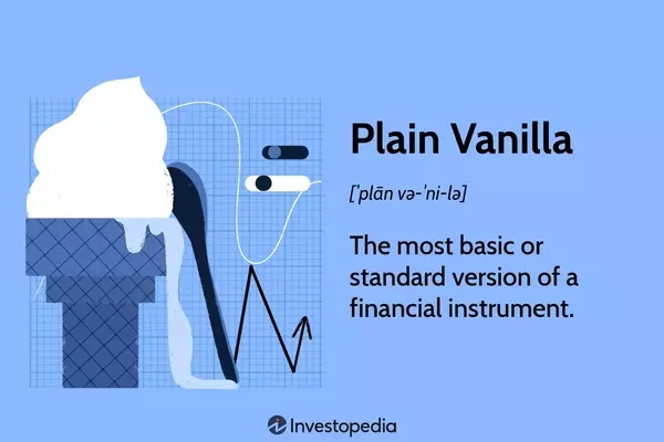 Understanding Plain Vanilla Financial Instruments