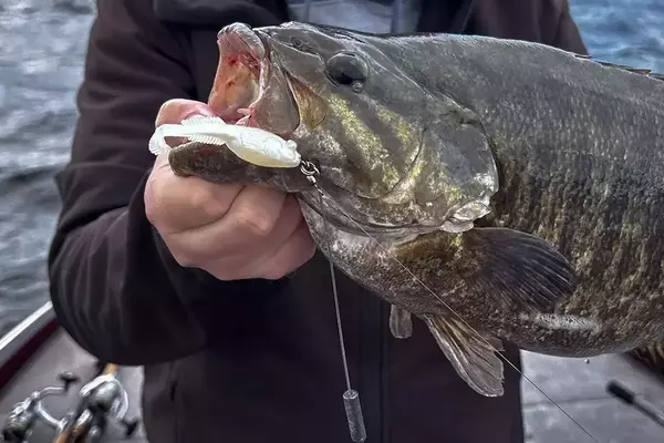 The Strategic Advantages of Standoff Rigs for Bass Anglers