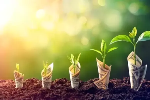 Investing in Undervalued Real Assets: A Strategic Approach
