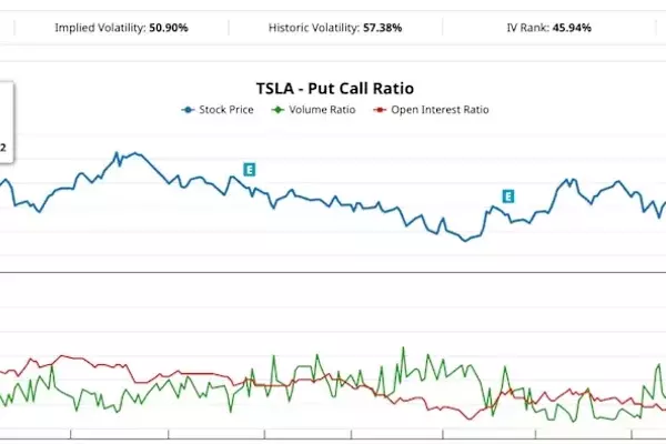 Expert Predicts Tesla Stock Decline, Options Market Reacts with Massive Bet