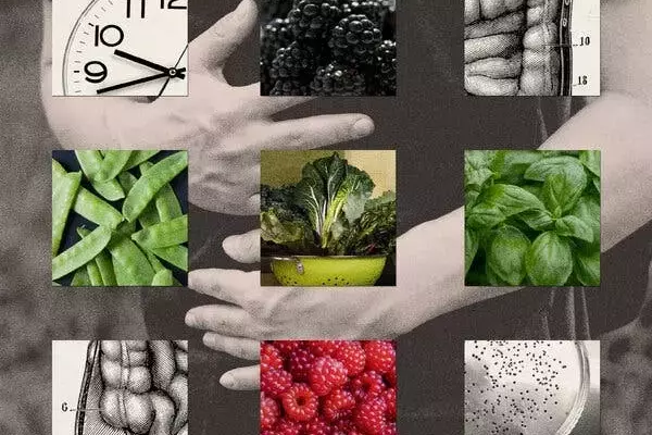 Cyclospora Outbreak: A Growing Public Health Concern