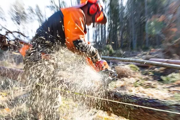 The Chainsaw Debate in Wilderness Areas