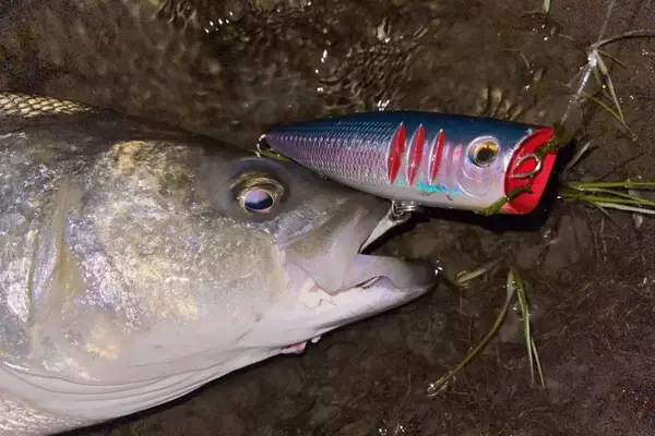 Pioneering Women of the Surf: Breaking Barriers in Angling