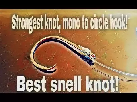Mastering the Snell Knot: A Comprehensive Guide for Anglers