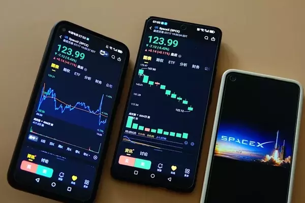 SpaceX Stock Plunge Sparks Broader Market Warning from Peter Schiff