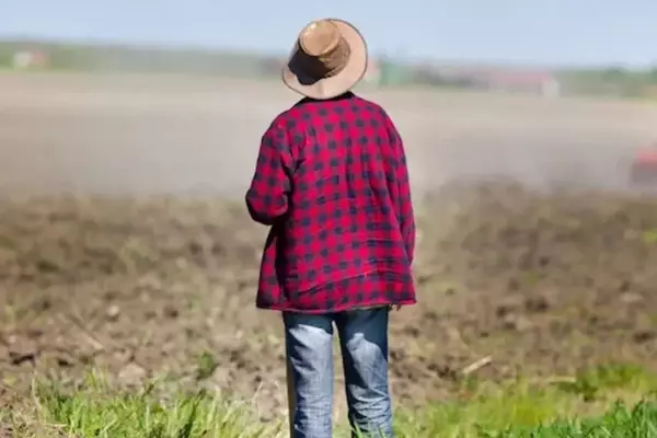 Understanding the Financial Implications of Farm Development Rights for Retirees