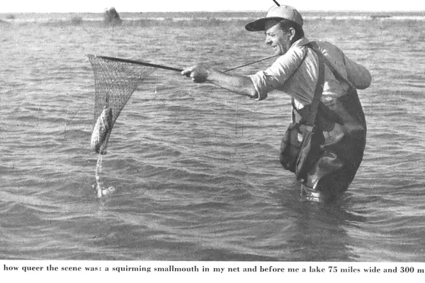 Unlocking the Great Lakes' Smallmouth Bass Secrets