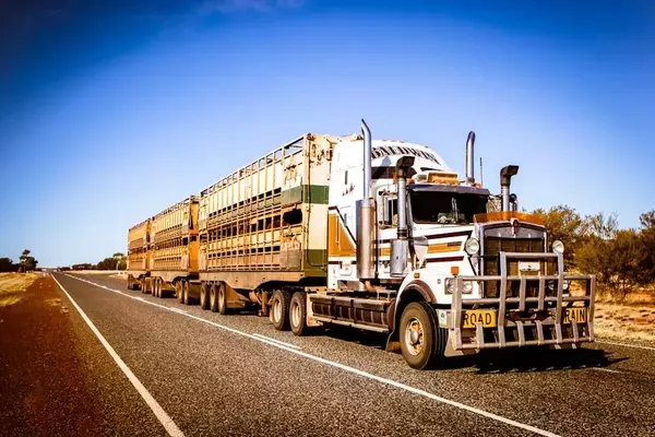 Transportation Sector Performance: A Tale of Two Trends Amid Rising Fuel Costs