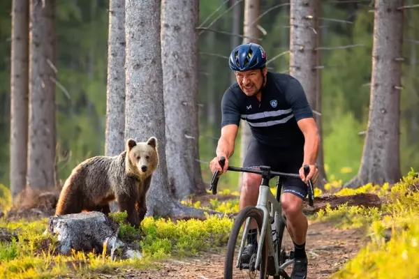 Cycling Through Europe's Bear Country: An Unforgettable Romanian Adventure