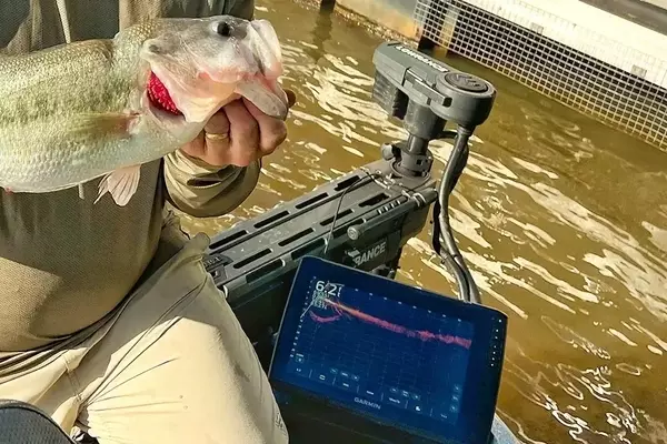 A Scientific Look at Forward-Facing Sonar's Impact on Angler Success