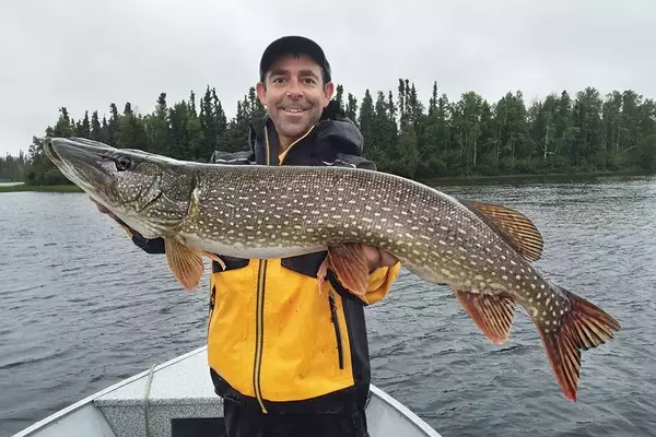 The Simple Allure of Spoons for Trophy Pike Fishing
