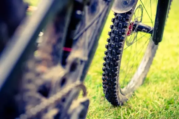Delium Radial Mountain Bike Tires: Performance Review