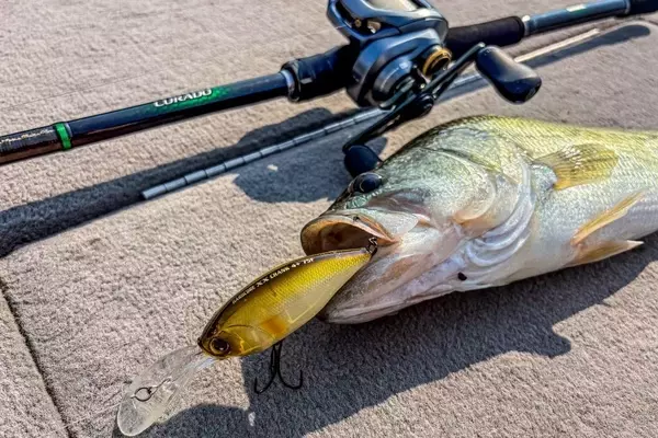 Mastering Deep Diving Crankbaits: A Summer Bass Fishing Guide