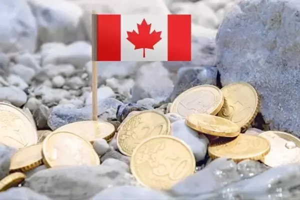 ClearBridge Canadian Small Cap Strategy's Q2 Performance Analysis