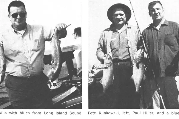 The Thrilling Pursuit of Bluefish: A Traditional Angling Adventure