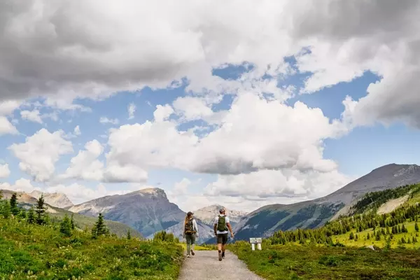 Summer Adventures in Banff National Park: Hiking and Wildflower Exploration