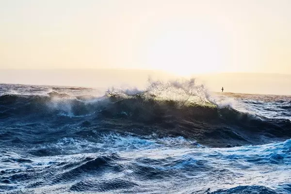 OceanFirst Financial Corp. Bolsters Presence with Strategic Acquisition, Reports Steady Q2 Performance