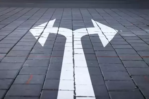 SCHD vs. RDVY: A Comparative Analysis of Dividend Growth ETFs