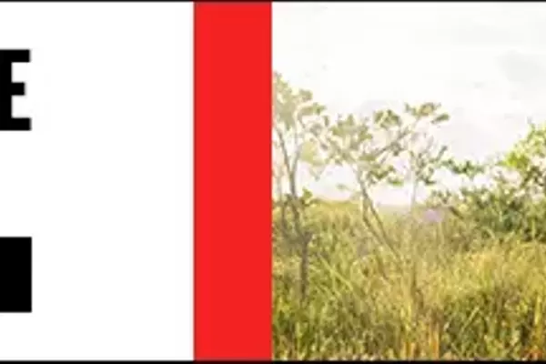 Optimize Your Hunting Experience with Essential UTV Enhancements