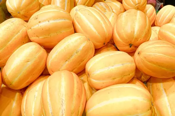 A Connoisseur's Guide to Selecting the Perfect Melon