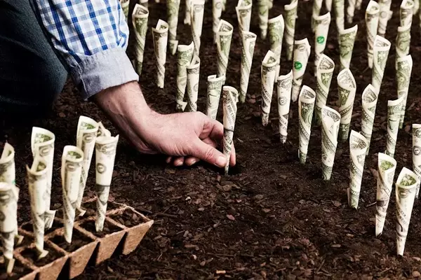 Top Dividend Energy Stocks for August: A Comprehensive Analysis