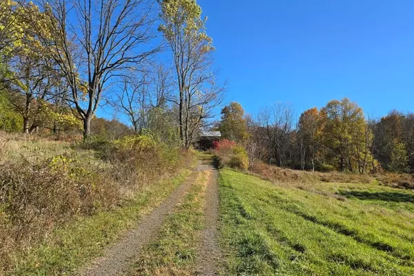 A Race Against Time to Preserve a Cherished Appalachian Trail Landmark