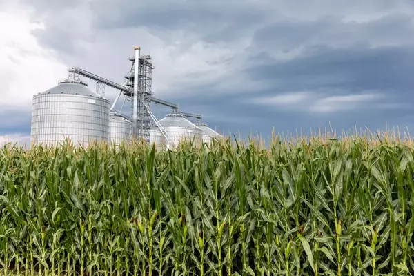 Alto Ingredients: A Promising Investment in Renewable Fuels