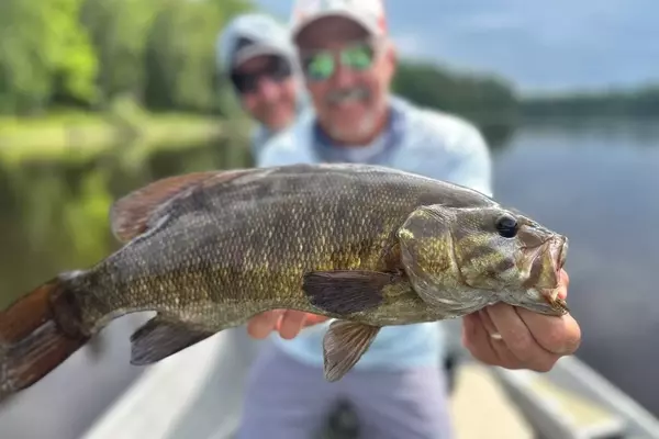 Mastering Subtle Topwater Bites for Trophy Smallmouth Bass