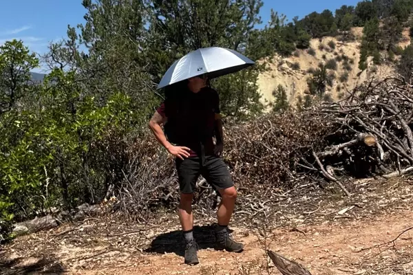 The Unexpected Utility of Umbrellas in Modern Hiking: A Comprehensive Review