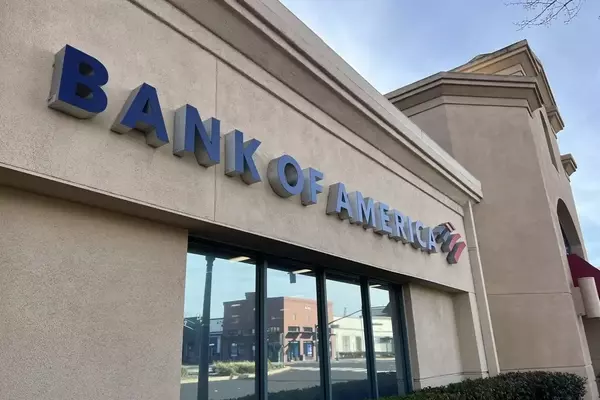 Understanding Bank Financial Statements: Revenue and Regulatory Overview