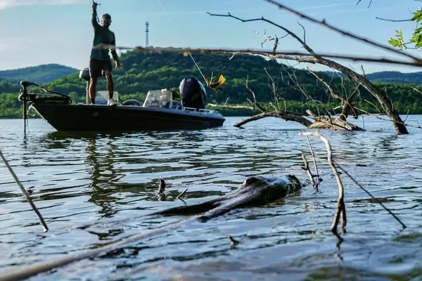 Common Pitfalls in Bass Angling and How to Overcome Them
