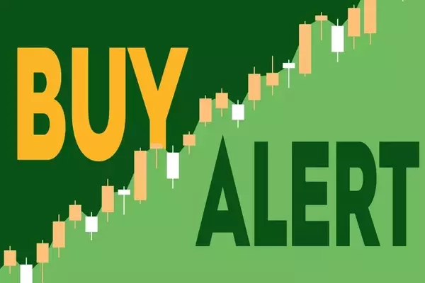 Tractor Supply CEO Increases Stake Amidst Stock Dip