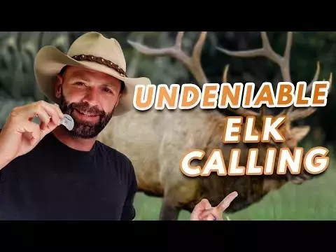 Expert Strategies for Successful Elk Calling