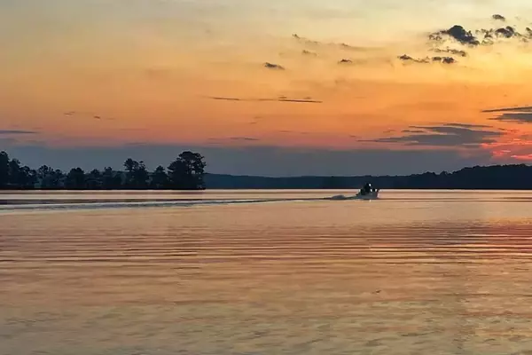 Mastering Summer Bass Fishing in Crowded Waters