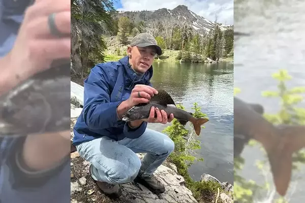 Fly Fishing Teenager Achieves State Record for Arctic Grayling