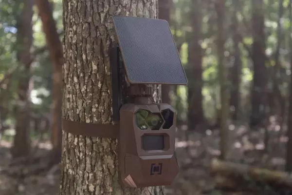 Comprehensive Guide to Utilizing Trail Cameras for Deer Hunting