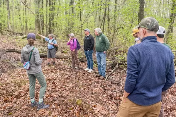 Connecticut's First State-Owned Mountain Biking Trails Planned for Mono Pond State Park