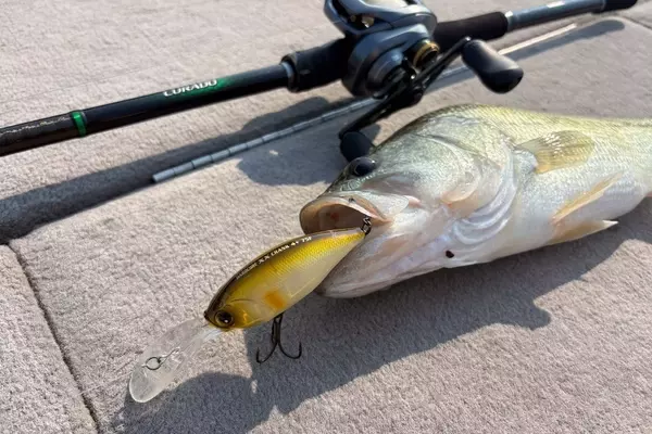 The Evolution and Science of Fluorocarbon Fishing Lines